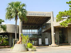 玄関前に植栽とシュロの樹がある金武町立中央公民館の建物の写真